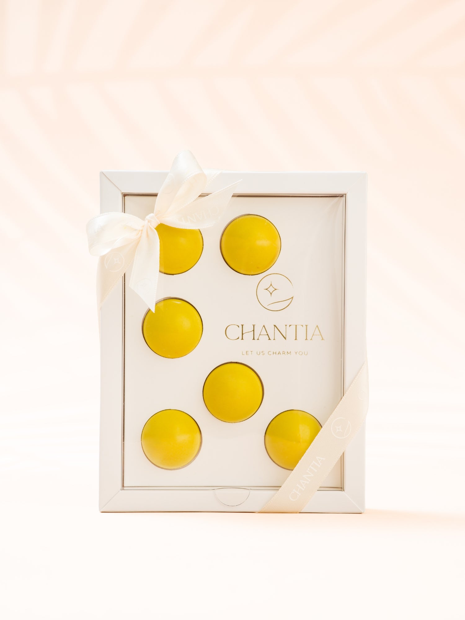 Cutie Marturie Eveniment Alb, 6 Praline